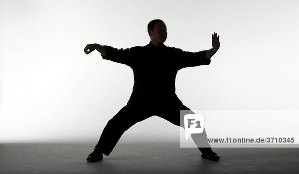 Chinesischer Taiji Meister Cheng Lijun im Gegenlicht als Schattenriss  Kampfposition  Chansi Gong