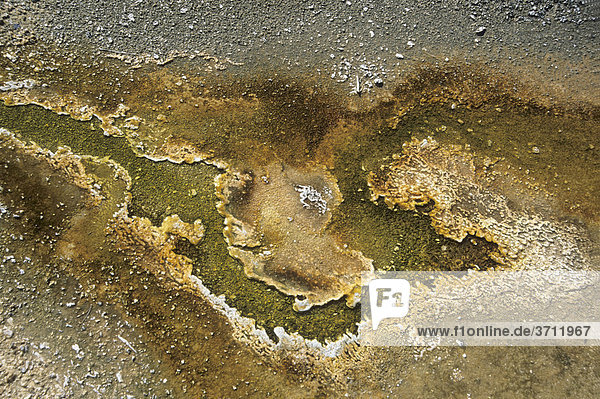 Bodenstrukturen im Yellowstone Nationalpark  USA