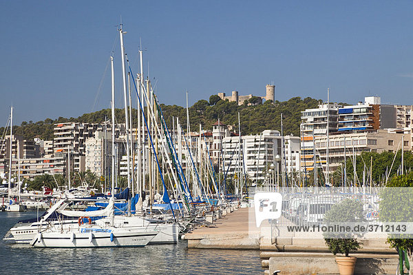 Yachthafen von Palma de Mallorca  Mallorca  Balearen  Mittelmeer  Spanien  Europa