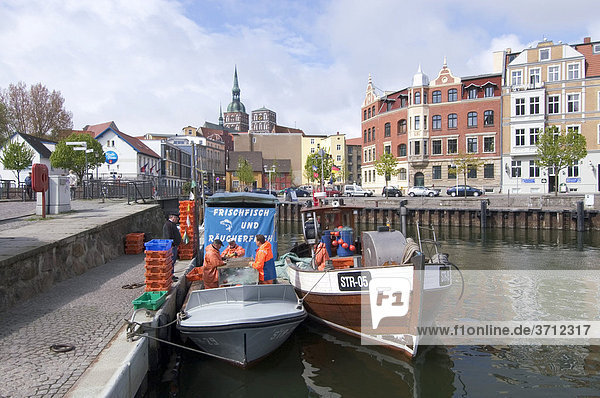 Stralsund Mecklenburg-Vorpommern Germany harbour of the fishermen