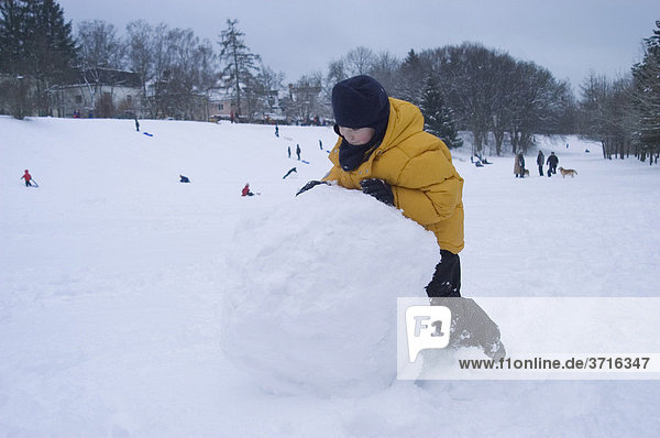 Boy rolling big snow ball