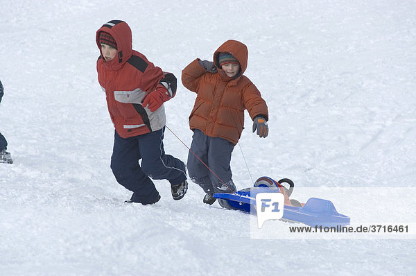 Two children are pulling their sledge up the hill