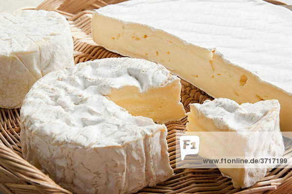 Camembert und Brie-Käse