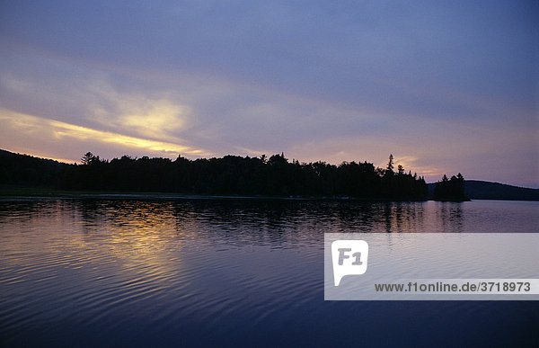 Evening at a lake in Algonquin Provincial Park  Canada
