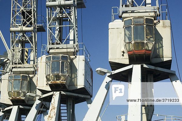 Stillgelegte Hafenkräne stehen im Hamburger Hafen