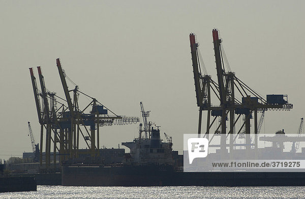 Ladekräne ragen in den Himmel über einem Containerterminal im Hamburger Hafen