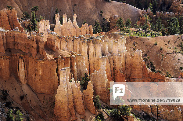 Rock formations at Bryce Canyon  Utah  USA
