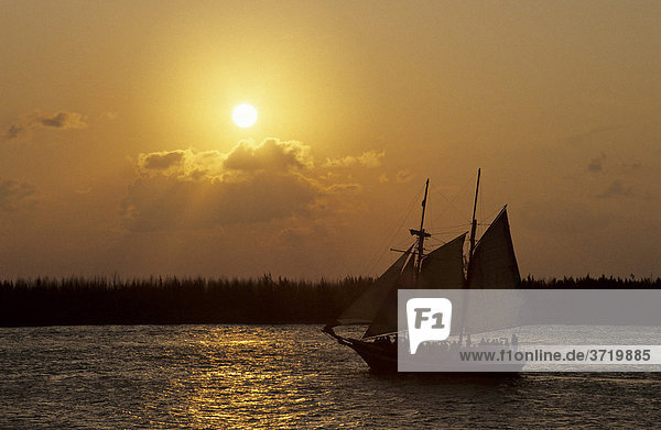 Segelschiff vor Sonnenuntergang  Key West  Florida  USA