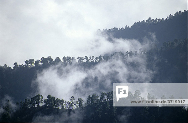 Ridges in the fog  La Palma  Canary Islands  Spain