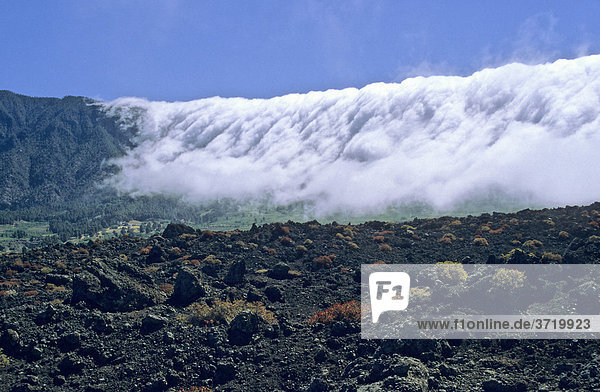 Clouds floating over a ridge at La Palma  Canary Islands  Spain