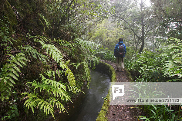 Wanderweg am Bewässerungskanal Levada do Norte - Madeira