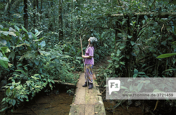 Rainforest Llanura de San Carlos - Costa Rica