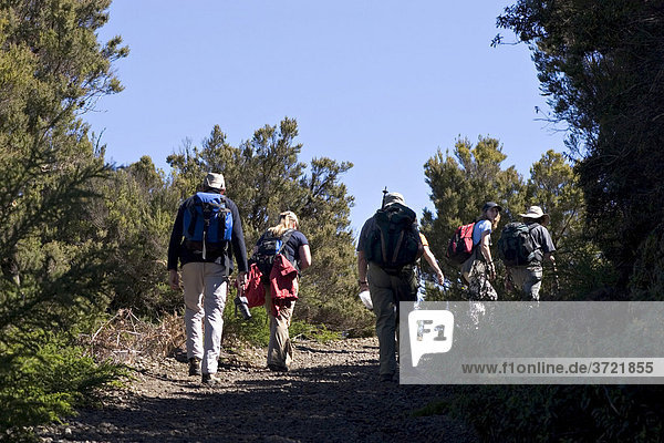 Hikers in National park Garajonay Canary Islands - La Gomera