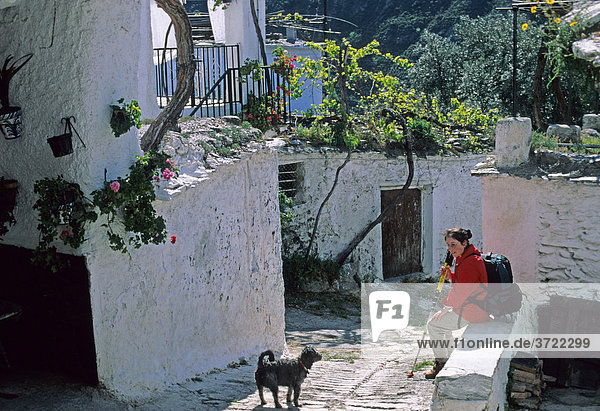 Woman an dog Fondales  Alpujarra  Alpujarras  Andalusia Province Granada Spanien