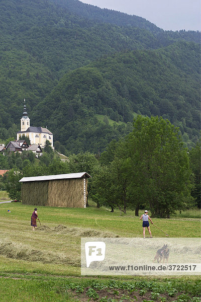 Heuernte in Strednja vas im Triglav-Nationalpark  Slowenien
