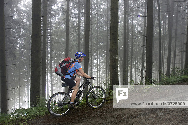 Mountainbiker bei der Auffahrt zum Madereck  Steiermark  Österreich