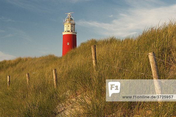 Leuchtturm  Abendlicht  Texel  Westfriesische Inseln  Nordsee  Holland  Niederlande  Europa