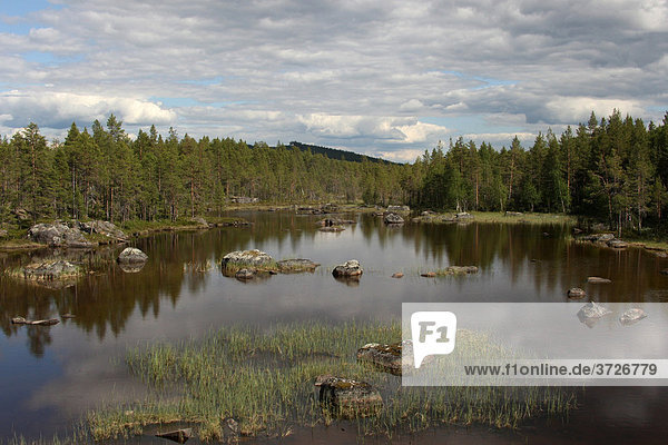 Seenlandschaft  Lappland  Schweden  Europa