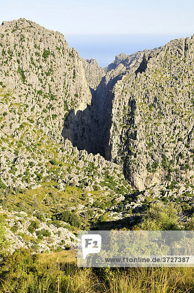 Blick in die Schlucht Torrente de Pareis  eines der Top-Wanderreviere der Insel  Tramuntana-Gebirge  Mallorca  Balearen  Spanien  Europa