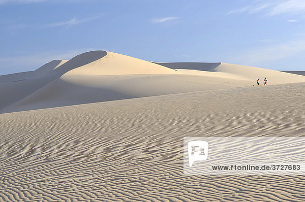 Wüstenlandschaft und Sanddüne der White Sand Dunes  vietnamesische Sahara Bau Ba  Bao Trang  White Lake  Vietnam  Asien
