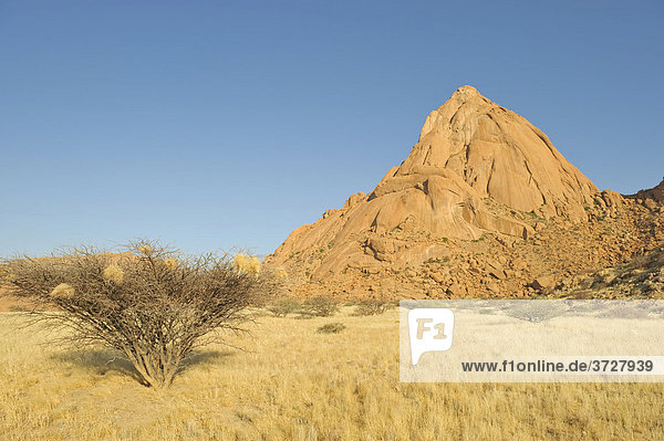 Granitfelsen der Spitzkoppe  Namibia  Afrika