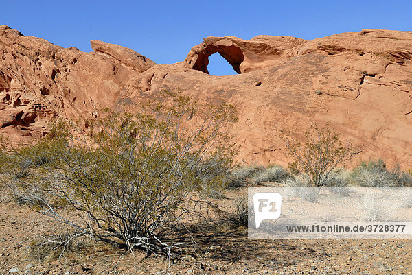 Arch Rock  Valley of Fire State Park  Nevada  USA