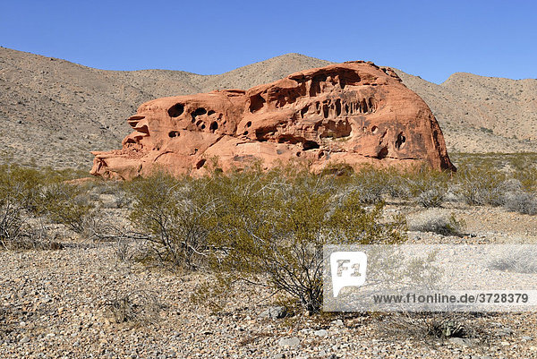 Rote und bräunliche Felsformationen  Valley of Fire State Park  Nevada  USA