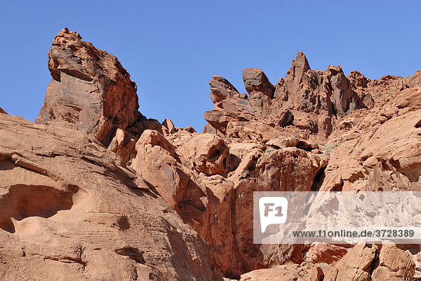 Rote Sandsteinformation im Valley of Fire State Park  nordöstlich von Las Vegas  Nevada  USA