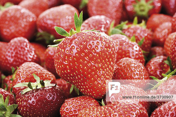 Erdbeeren formatfüllend
