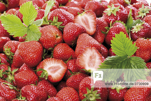 Erdbeeren mit Blättchen formatfüllend