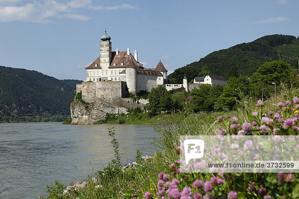 Schloss Schönbühel an der Donau  Wachau  Niederösterreich  Österreich  Europa