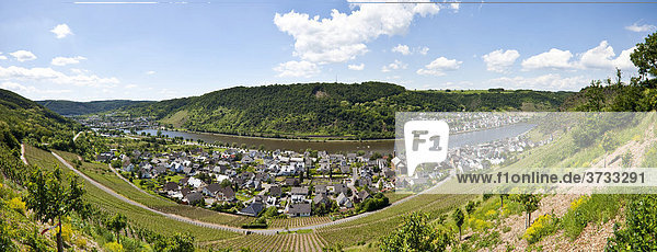 Blick auf das Moselstädtchen Alken  Alken  Rhein-Hunsrück-Kreis  Rheinland Pfalz  Deutschland  Europa