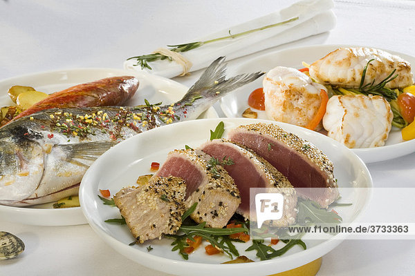 Thunfisch-Filet mit Sesamkruste