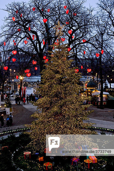 Weihnachtsbaum in Tivoli  Kopenhagen  Dänemark