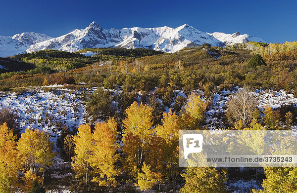 San Juan Berge und Espen im Herbst bei Sonnenaufgang  Dallas Divide Gebirgspass  Ouray  Rocky Mountains  Colorado  USA