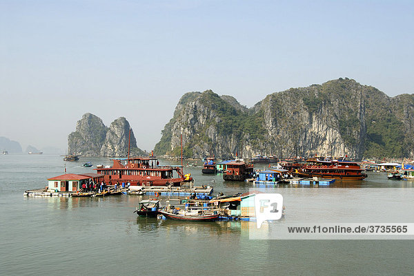 Schwimmendes Dorf mit Hausbooten vor Felseninseln  Ha Long Bucht  Vietnam  Südostasien  Asien