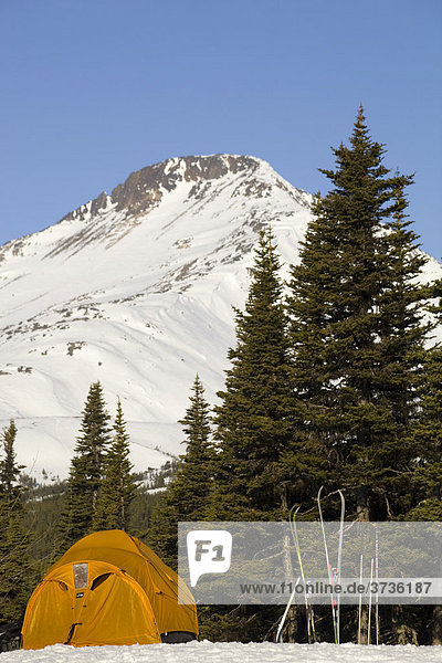 Zelte und Skier  Winterlager  dahinter der White Pass Chilkoot Pass  Chilkoot Trail  British Columbia  Kanada