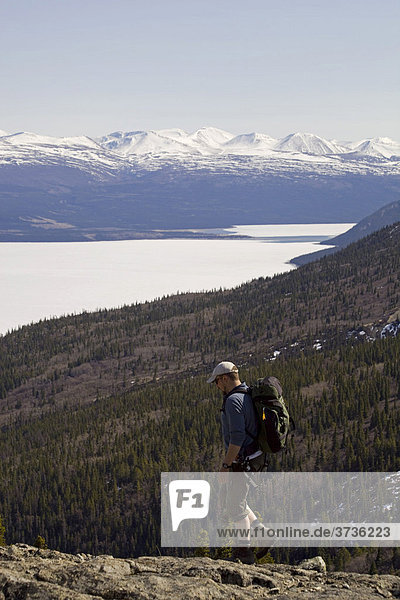 Hiker  man hiking with backpack  ice covered Kusawa Lake and mountains behind  Yukon Territory  Canada  North America