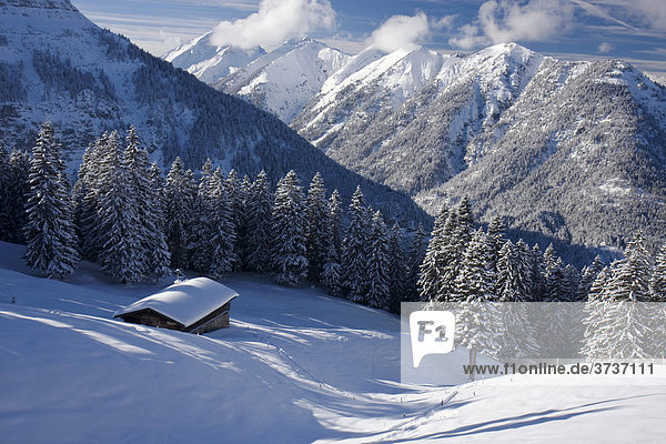 Moosenalm am Schafreuter im Schnee  Karwendel  Bayern  Deutschland  Europa