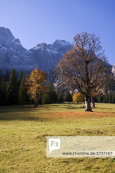 Rohntalboden im Herbst  Eng  Tirol  Österreich  Europa