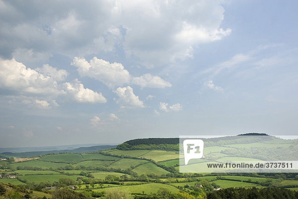 Typische englische Landschaft mit Weide und Hecken  blauer Himmel und Wolken  Südengland  England  Großbritannien  Europa