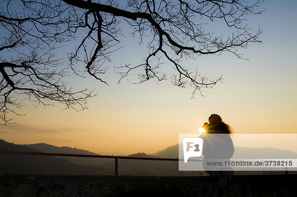 Red-haired woman on a wall  rear view  sunset  Freiburg  Baden-Wuerttemberg  Germany