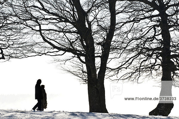 Silhouette of two people walking past winter trees