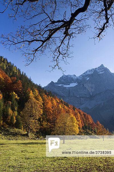Spitzkarspitze im Herbst  Eng  Tirol  Österreich  Europa