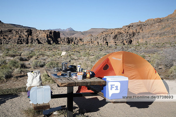 Zelt  Camp im Mojave National Preserve  Kalifornien  USA