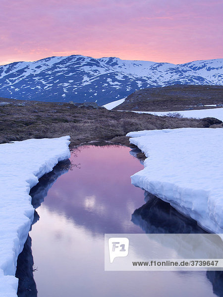 Raavredendurrie Tal  schmelzender Schnee  Börgefjell-Nationalpark  Nordland  Norwegen  Skandinavien  Nordeuropa
