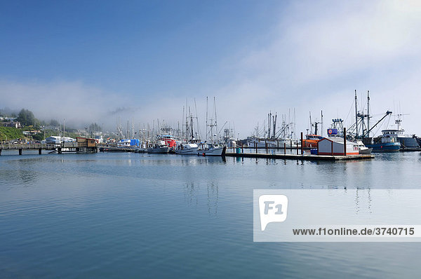 Hafen von Newport  Yaquina Bay  Lincoln County  Oregon coast  USA