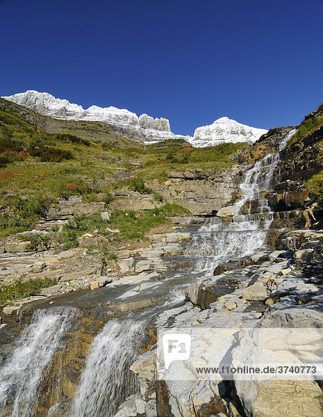 Wasserfall am Logan Pass  Hauptbesuchspunkt im Glacier National Park  Montana  USA  Nordamerika