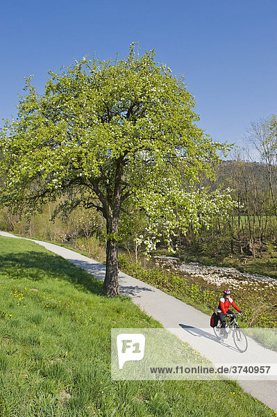Radfahrerin entlang des Triestingtalradweges zwischen Weißenbach und Fahrafeld  Triestingtal  Niederösterreich  Österreich  Europa