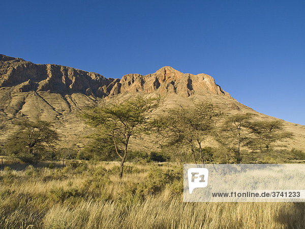 Naukluftberge von Norden  Namibia  Afrika